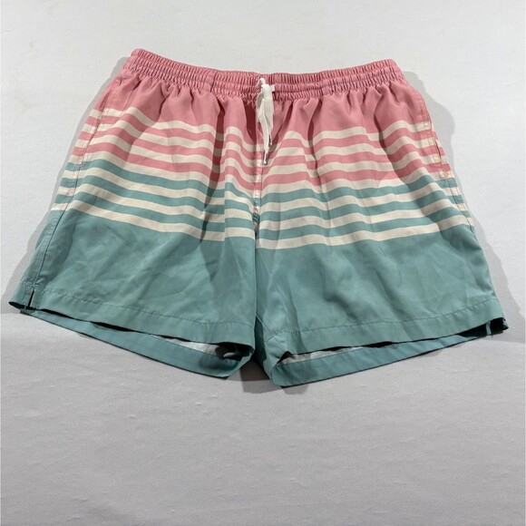 Chubbies Swim Trunks Adult Mens Pink White Blue Stripe Mesh Line 5.5" Shorts XL - Picture 1 of 8